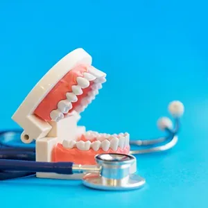 Dental teeth model and stethoscope on a blue background